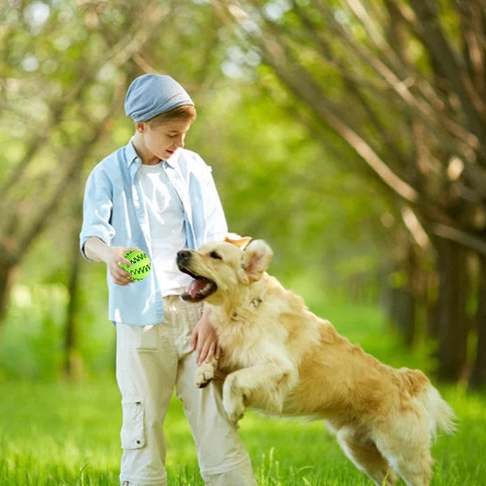 Bola de borracha para cães – Perfeito para petiscos - Filhotes e adultos