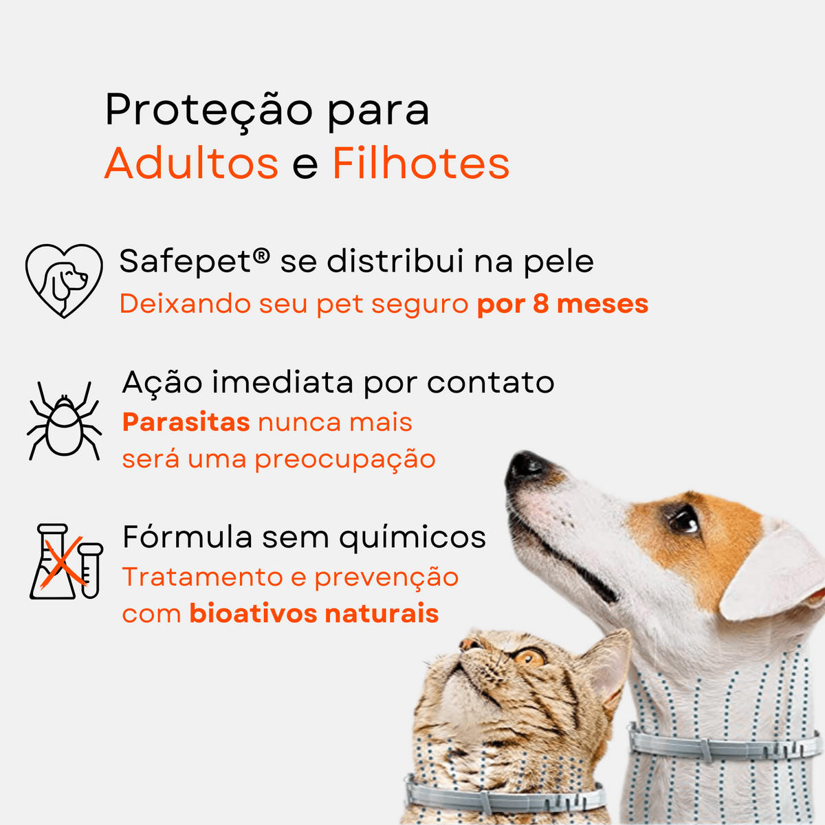 Coleira anti pulgas e carrapatos para gatos e cachorros.