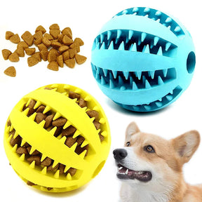 Bola de borracha para cães – Perfeito para petiscos - Filhotes e adultos