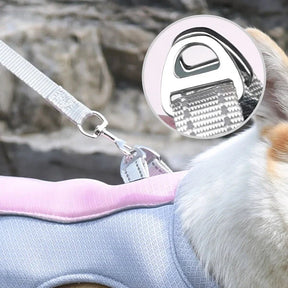 Coleira térmica peitoral para cachorro, confortável e ajustável.