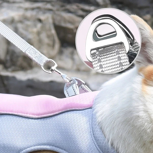 Coleira térmica peitoral para cachorro, confortável e ajustável.