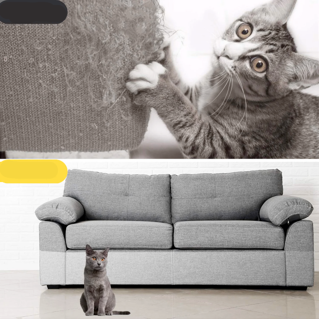 Protetor de sofá para pet impermeável e fácil de limpar.